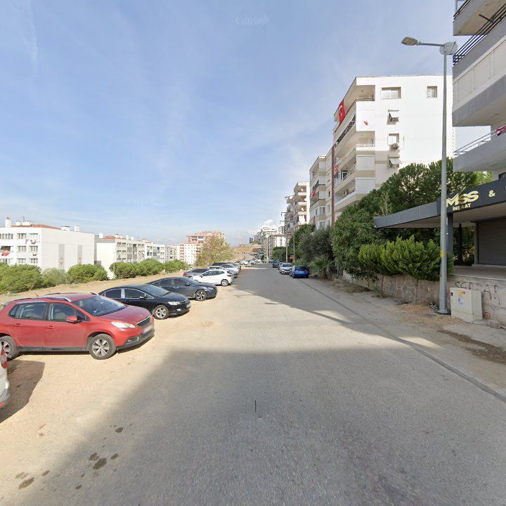 Fotoğraf 10