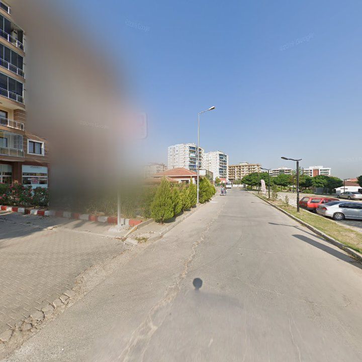 Fotoğraf 12
