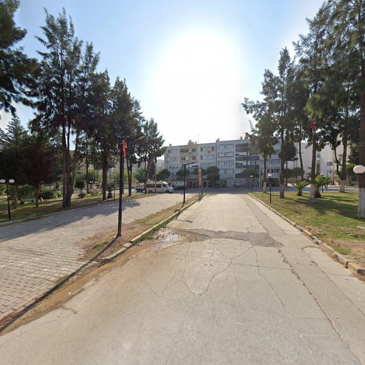 Fotoğraf 10