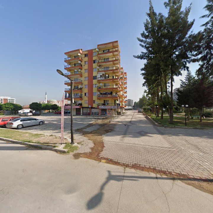 Fotoğraf 9