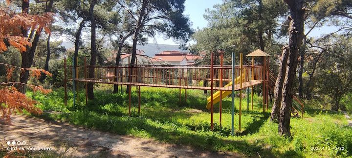Yahşelli 2.çamlık piknik alanı