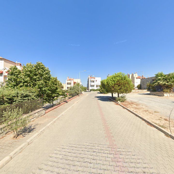 Fotoğraf 9