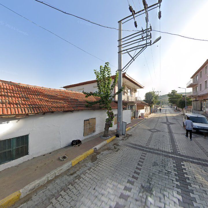Fotoğraf 5