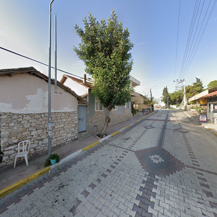 Fotoğraf 3