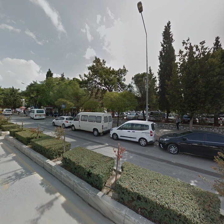 Fotoğraf 5
