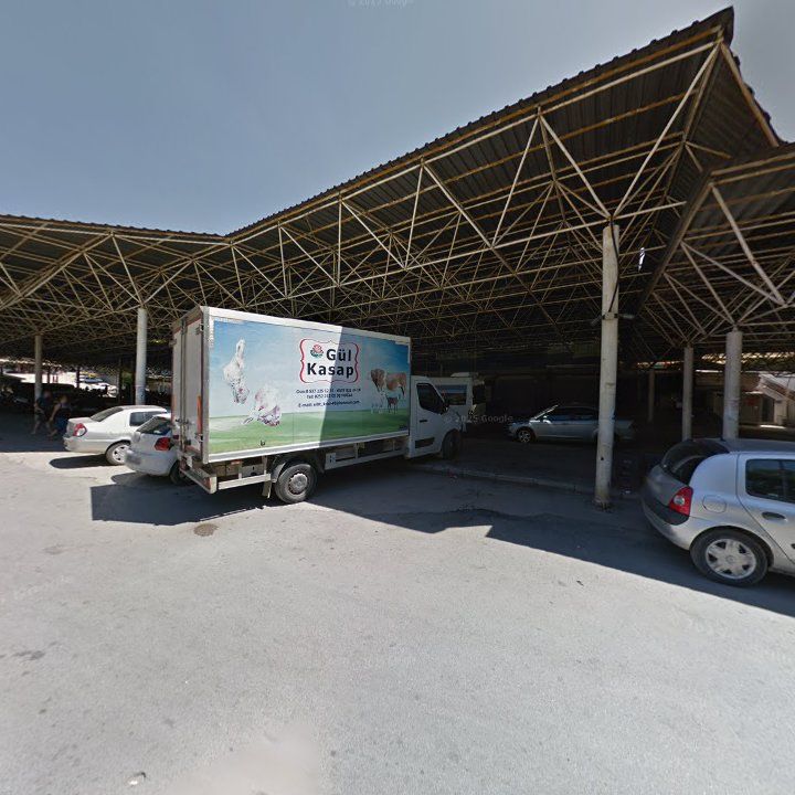 Fotoğraf 7