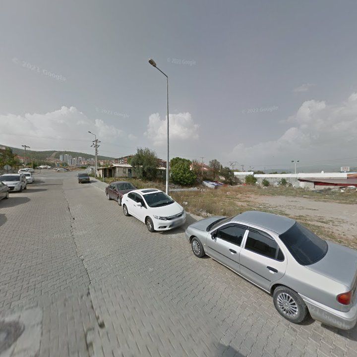 Fotoğraf 6