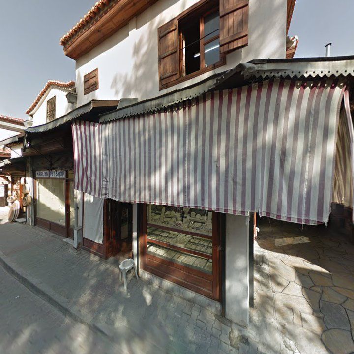 Fotoğraf 10