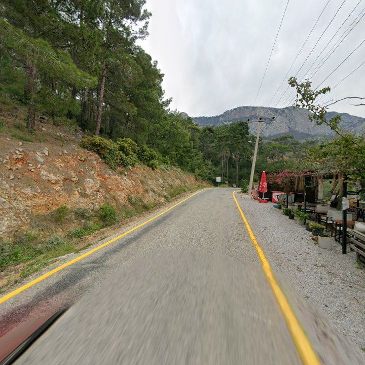 Fotoğraf 10