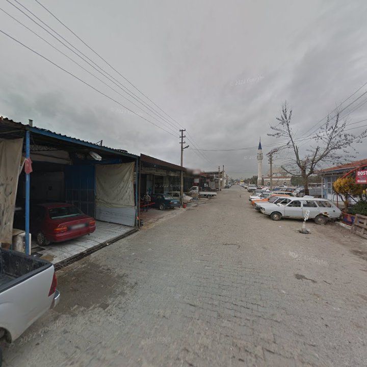 Fotoğraf 6