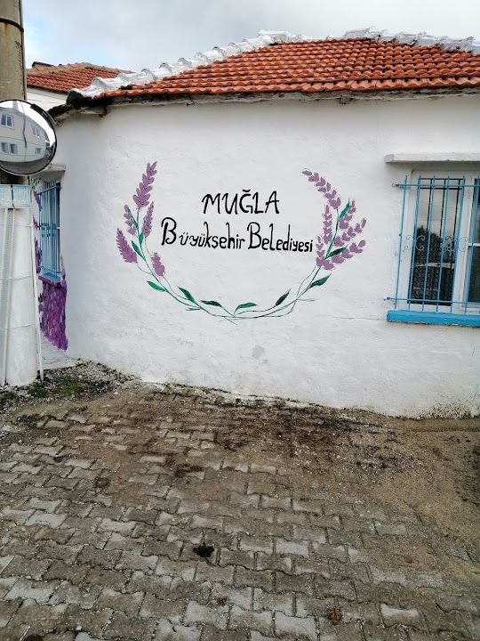Feray Köyevi