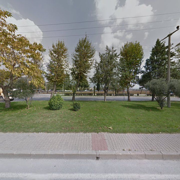 Fotoğraf 9