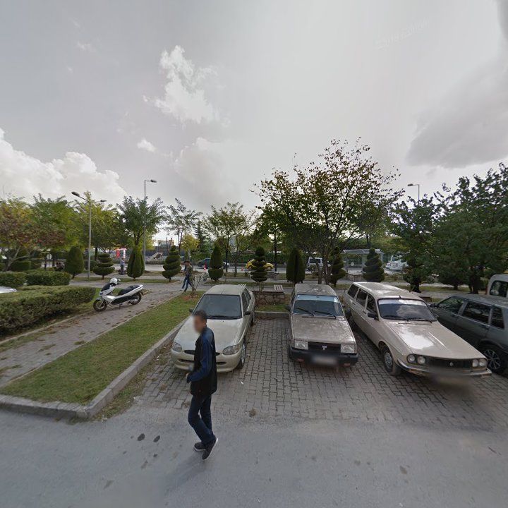 Fotoğraf 12