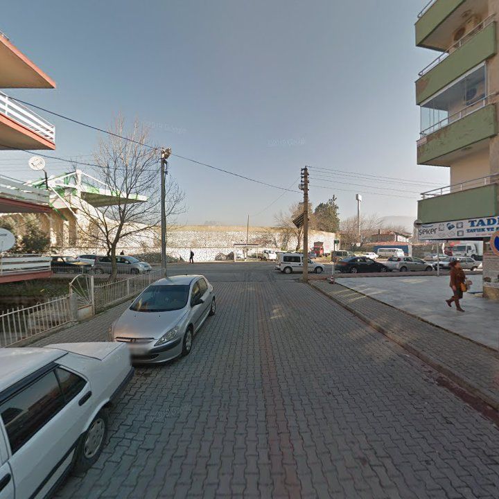 Fotoğraf 7