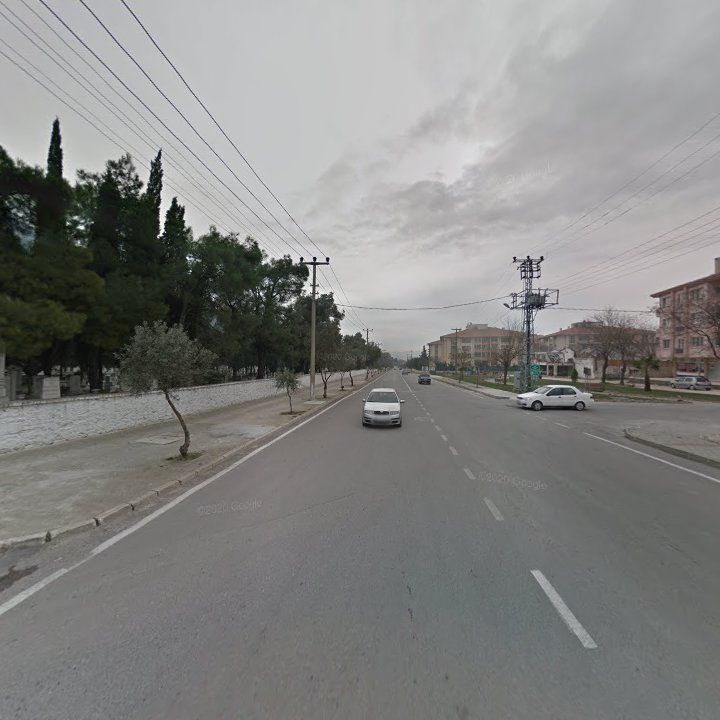 Fotoğraf 11