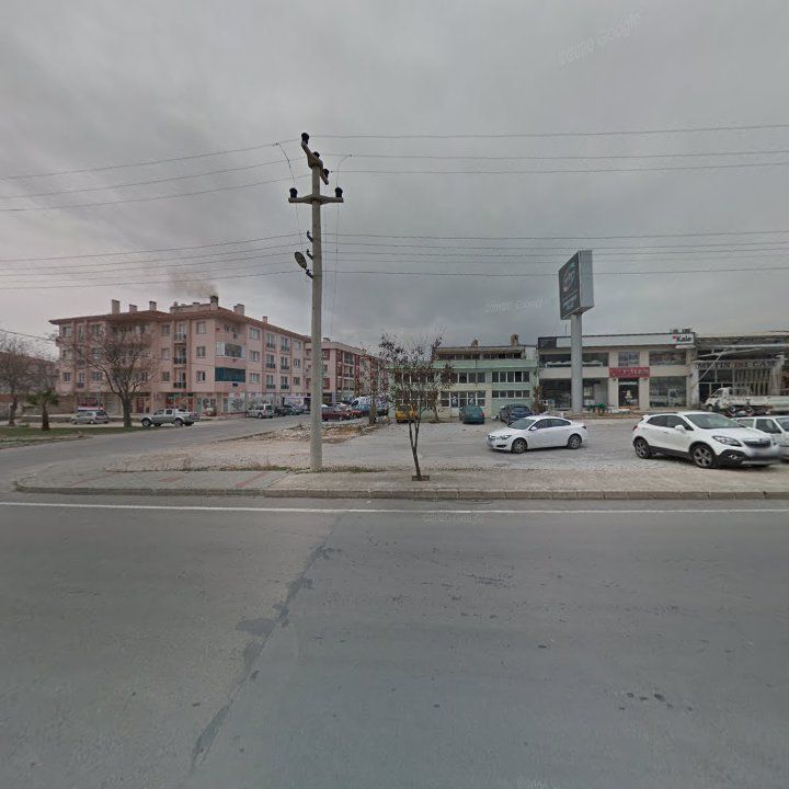 Fotoğraf 8