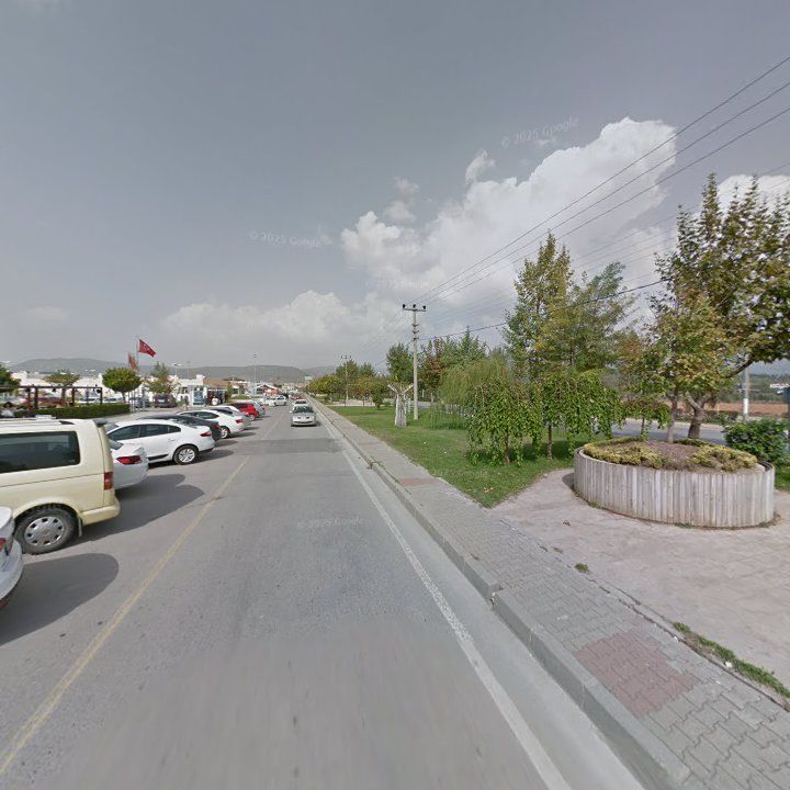 Fotoğraf 11