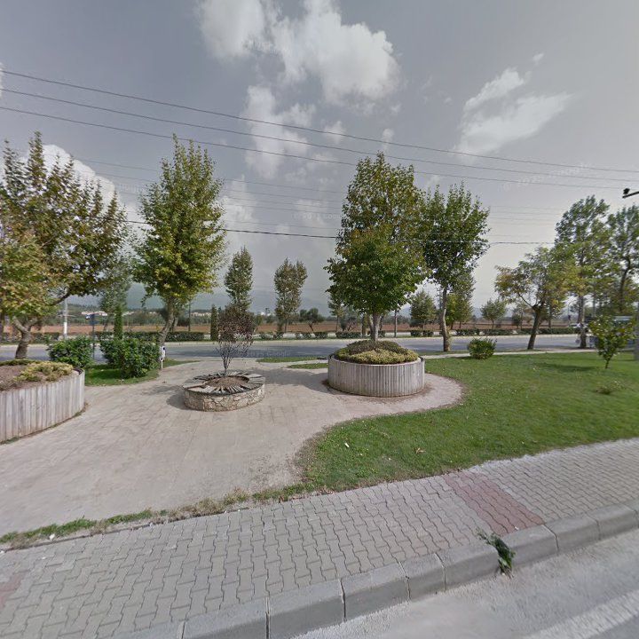 Fotoğraf 12