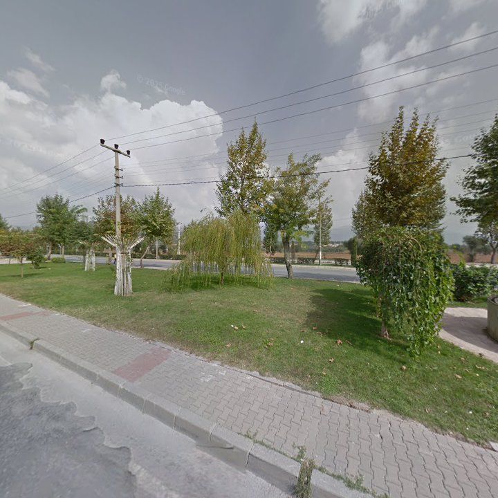 Fotoğraf 6