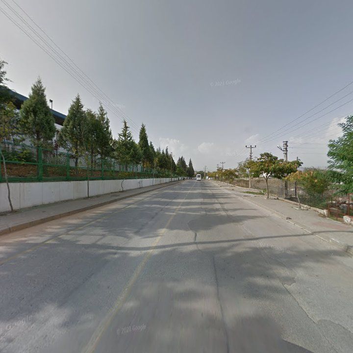 Fotoğraf 6