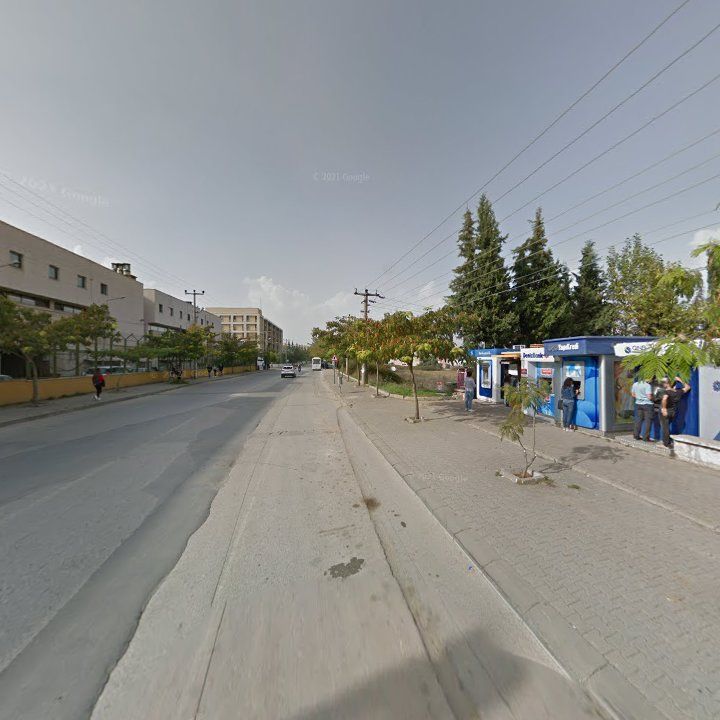 Fotoğraf 11