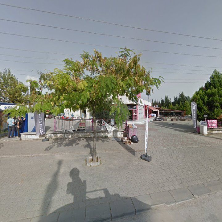 Fotoğraf 8