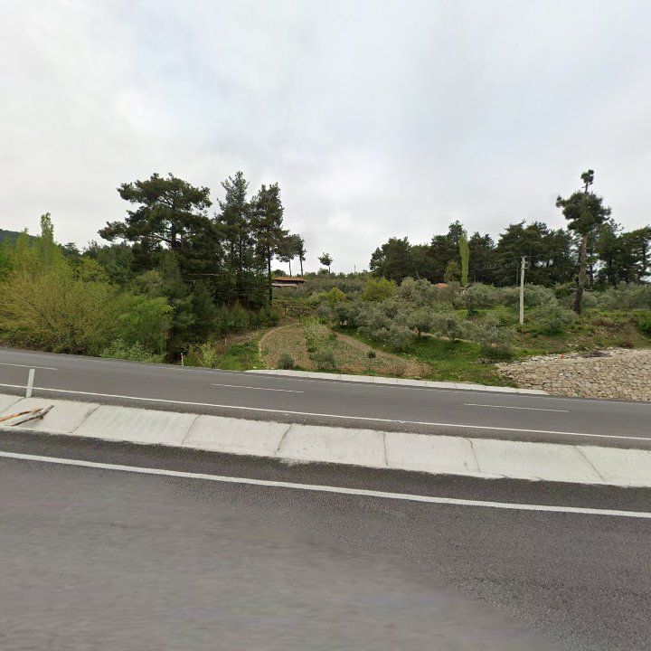 Fotoğraf 11