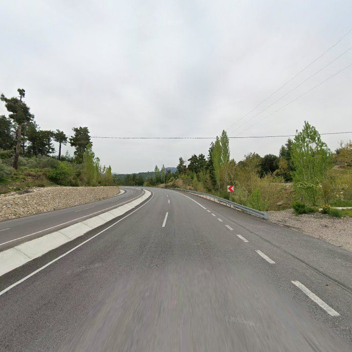 Fotoğraf 12