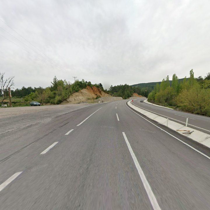 Fotoğraf 10