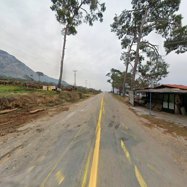 Fotoğraf 10