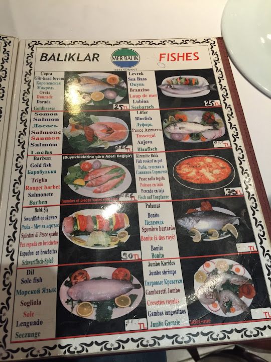 Fotoğraf 21