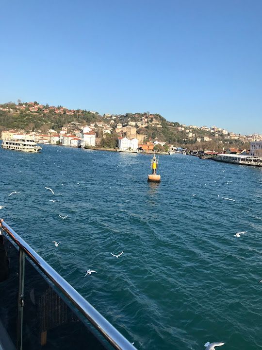 Yorum fotoğrafı 3