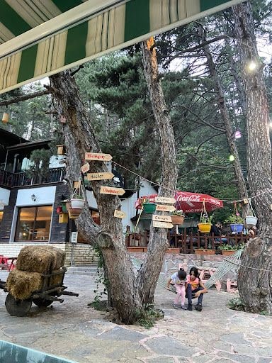 Yorum fotoğrafı 8