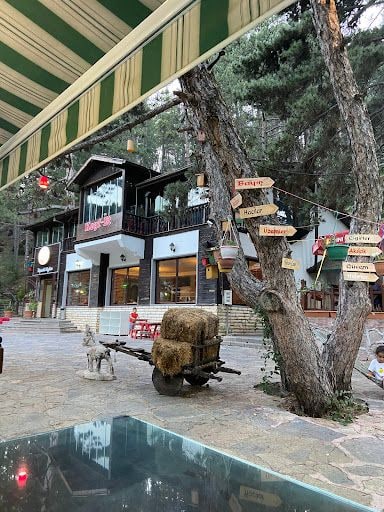 Yorum fotoğrafı 9