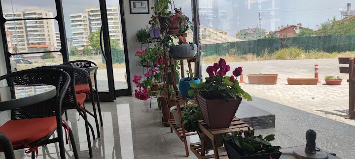 Begonvil Mutfağım