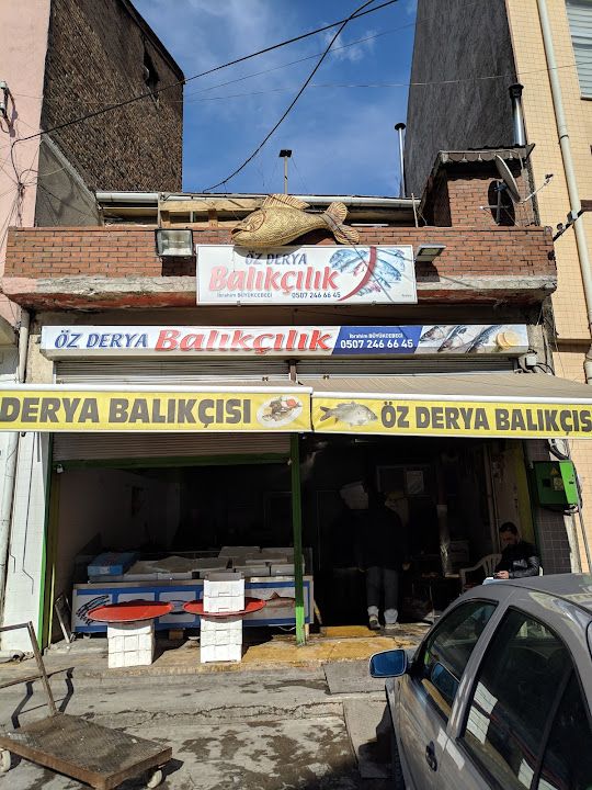 Özderya balıkçılık