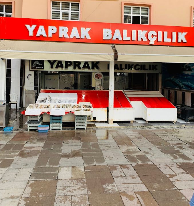 Yaprak Balıkçılık