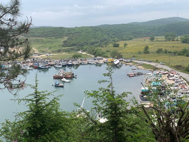 Yorum fotoğrafı 1