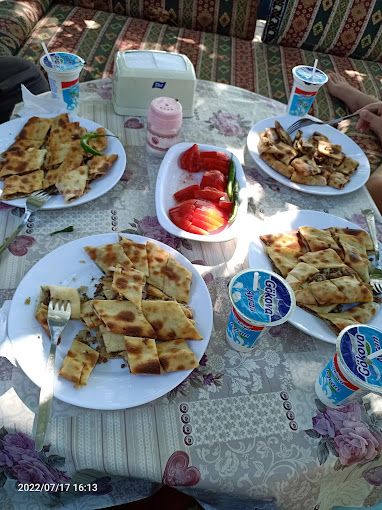 Fotoğraf 14