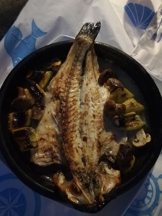 Fotoğraf 31