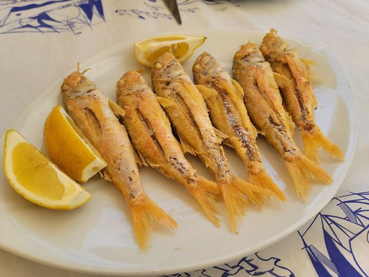 Fotoğraf 28