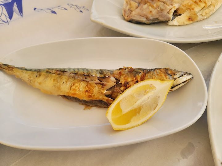 Fotoğraf 27