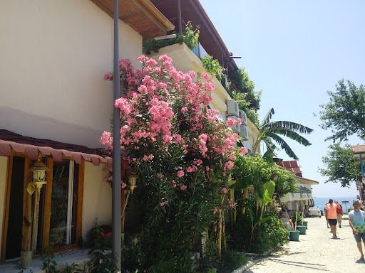 Yorum fotoğrafı 4