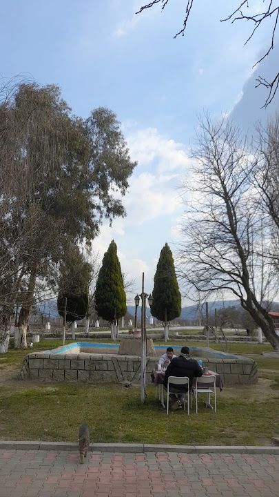 Fotoğraf 13