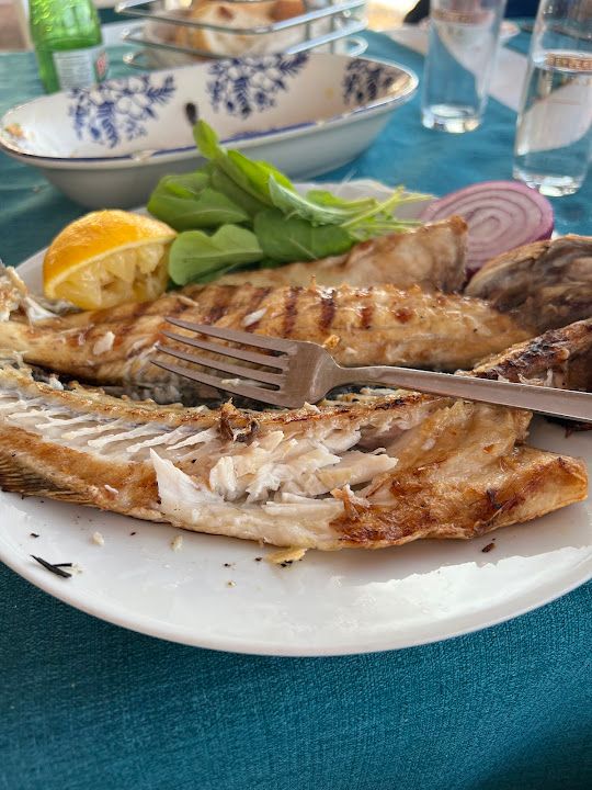 Fotoğraf 20
