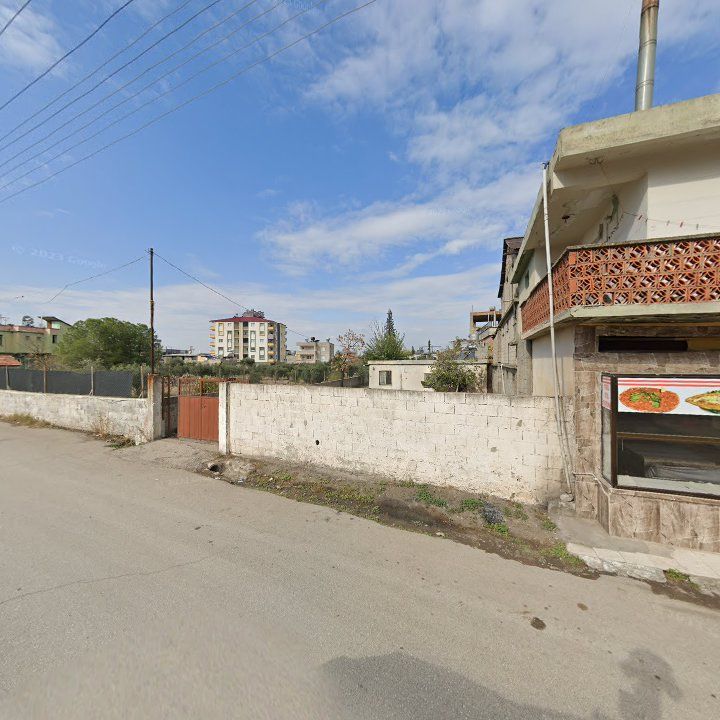 Fotoğraf 6