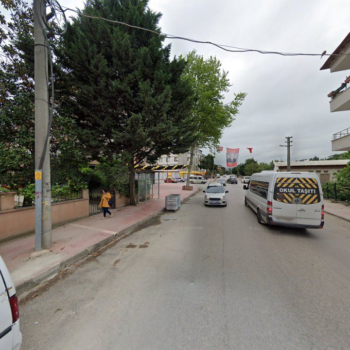Fotoğraf 11