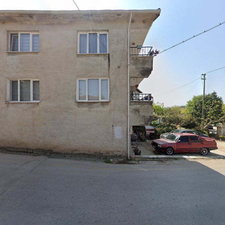 Fotoğraf 7