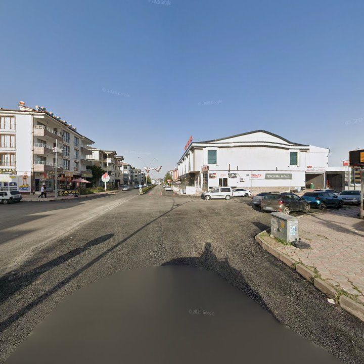 Fotoğraf 7