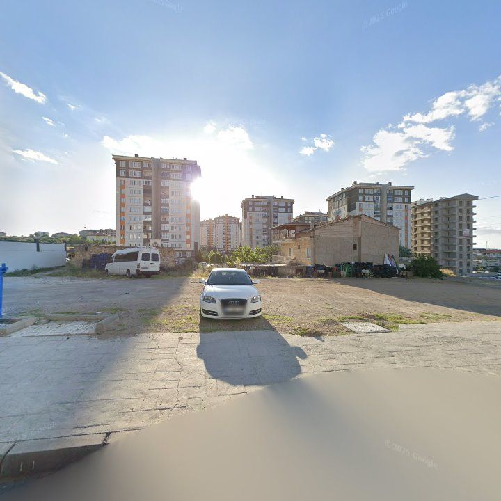Fotoğraf 8
